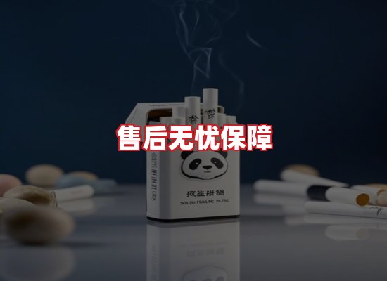 专业团队